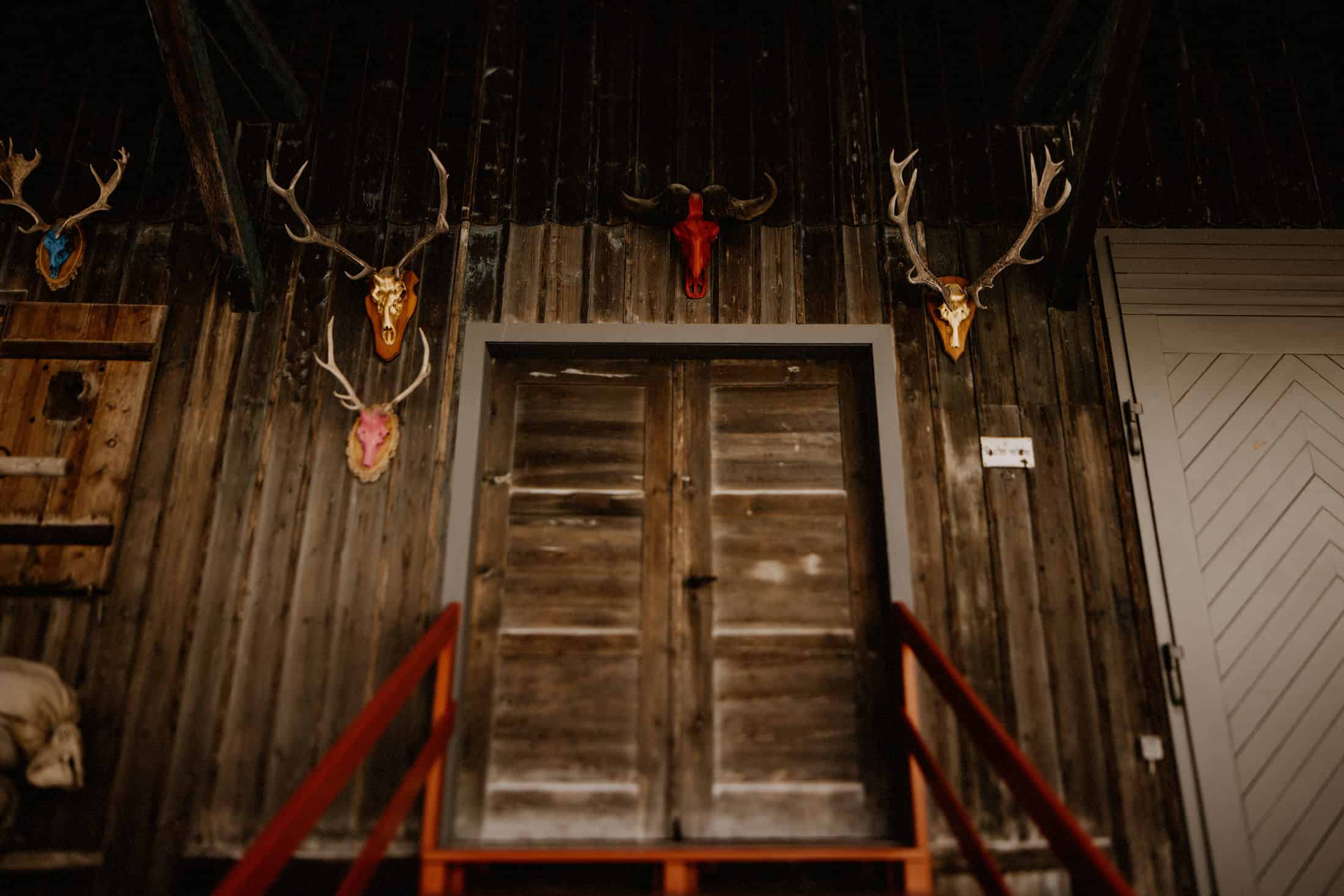Gewerbliche & gewinntreibende Nutzung der Fotos ist untersagt und bedarf der Zustimmung von Mic Panic