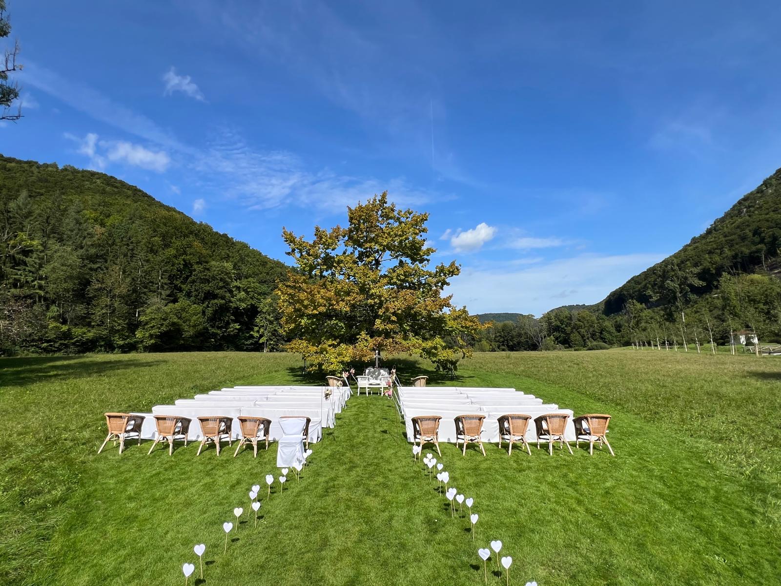 WhatsApp Image 2025-12-18 at 13.53.17