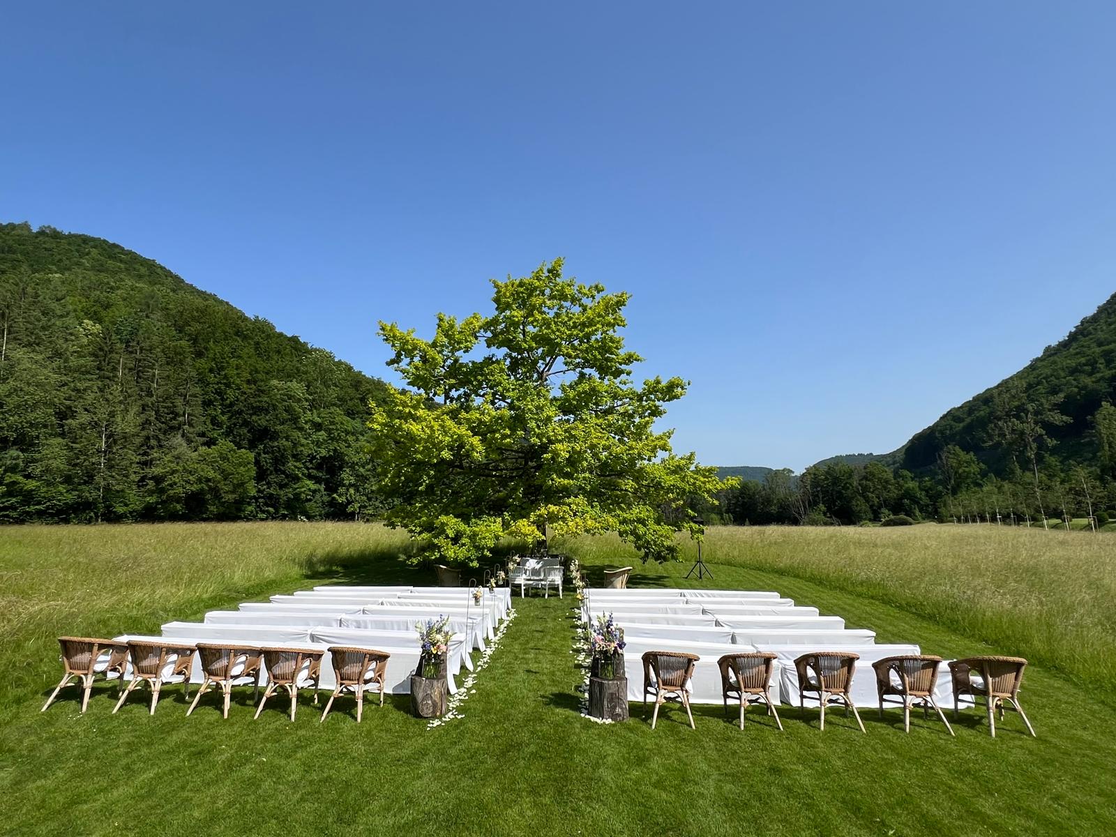 WhatsApp Image 2025-12-18 at 13.54.53