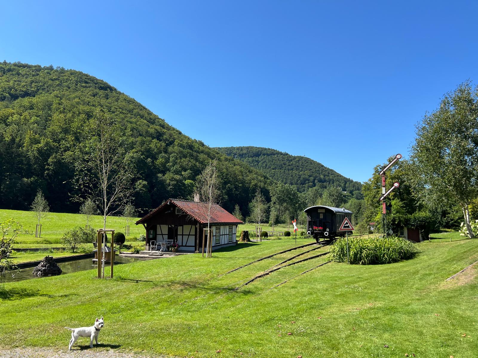 WhatsApp Image 2025-12-18 at 13.56.23