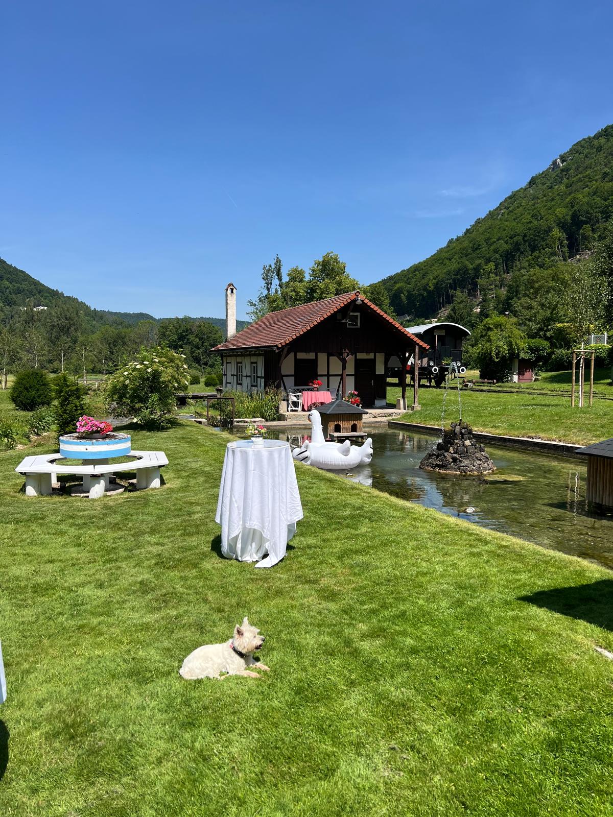 WhatsApp Image 2025-12-18 at 18.59.55