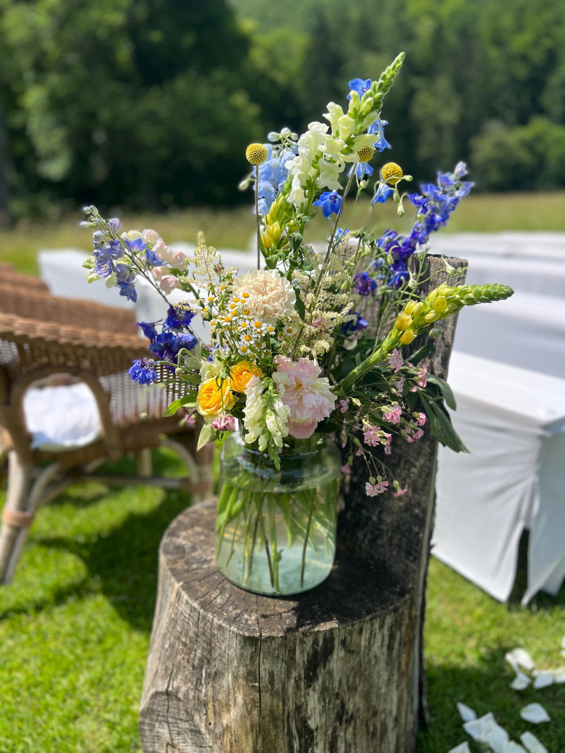 WhatsApp Image 2025-12-18 at 19.12.09