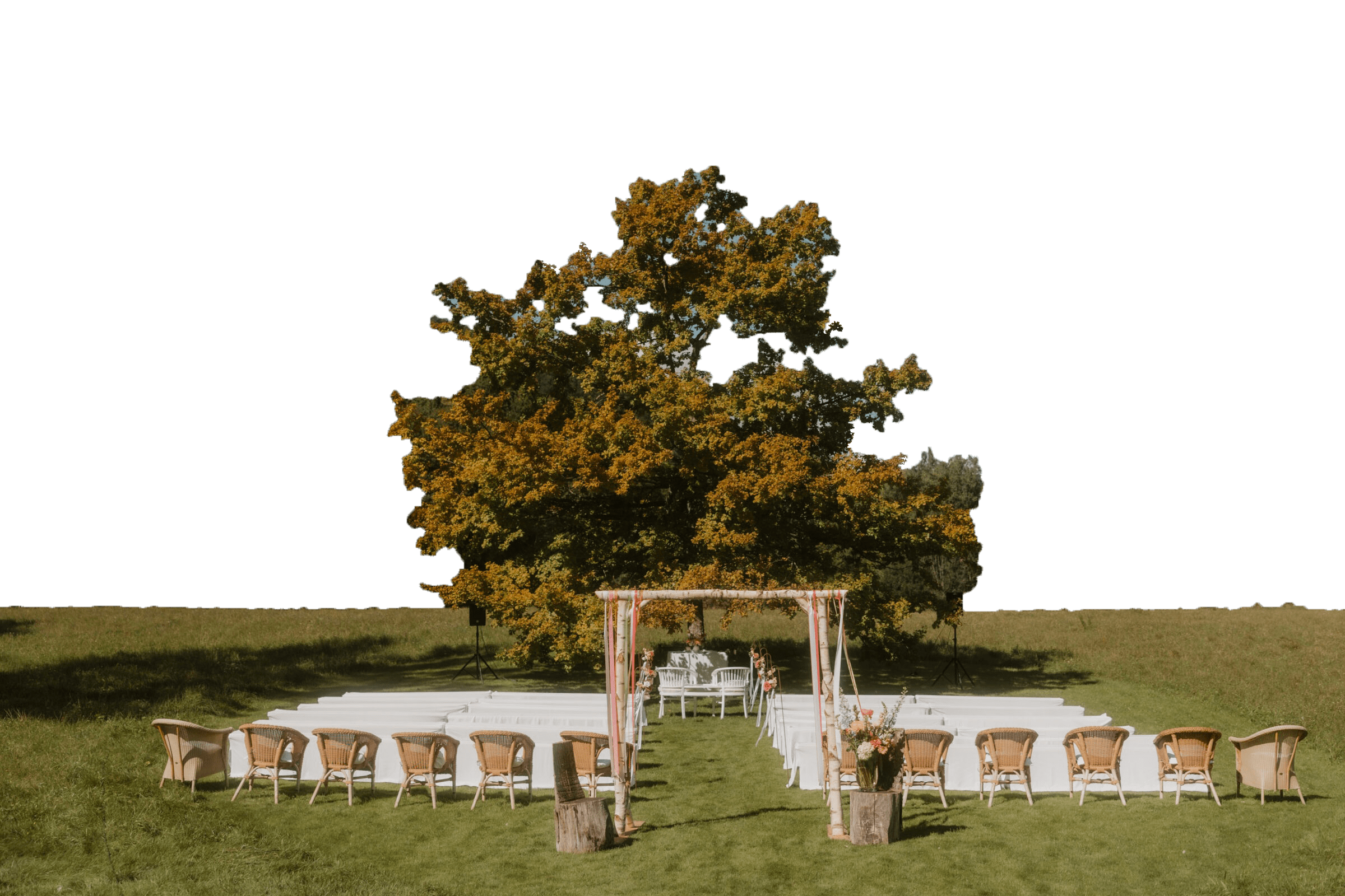 Trauwiese der Künkele Mühle für Hochzeiten im Grünen